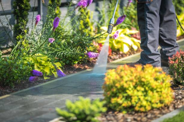 Best Winterizing Services  in Broad Brook, CT